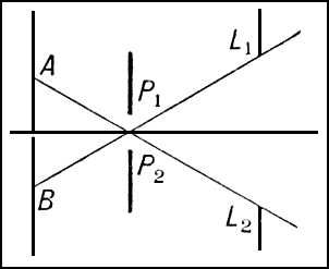 . 2. L<sub>1</sub>L<sub>2</sub>    ,     ,     ,   ; P<sub>1</sub>P<sub>2</sub>   .