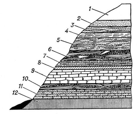 . 1.    : 1   ; 2   ; 3   ; 4, 5, 6     ; 7, 8, 9, 10       .; 11  ; 12   .   .