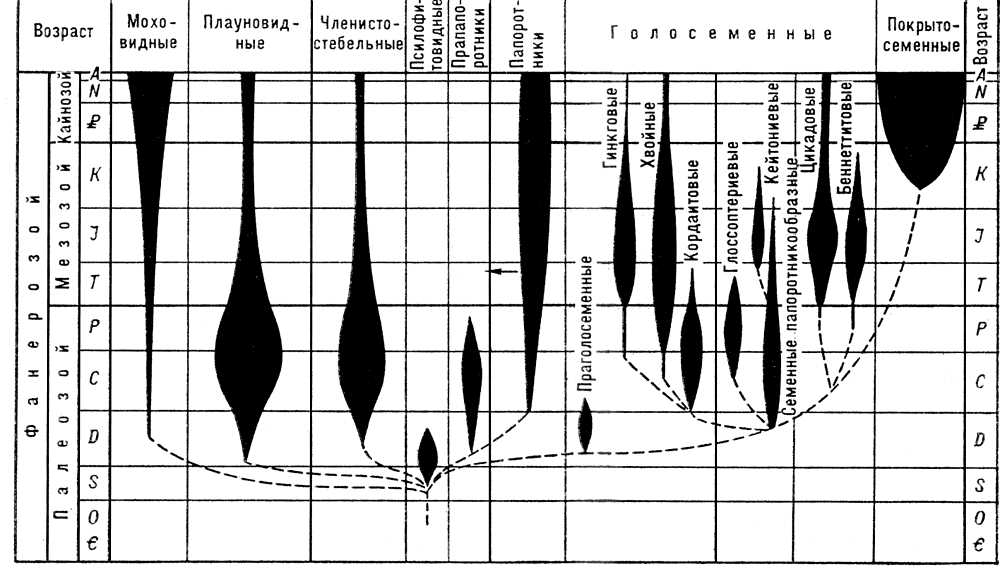     ; <span style='font-family:Arial;layout-grid-mode:line'></span>   ;    ; S   ; D   ;    ;    ;    ; J   ;    ; <span style='font-family:Arial'>ρ</span>   ; N   ;    .