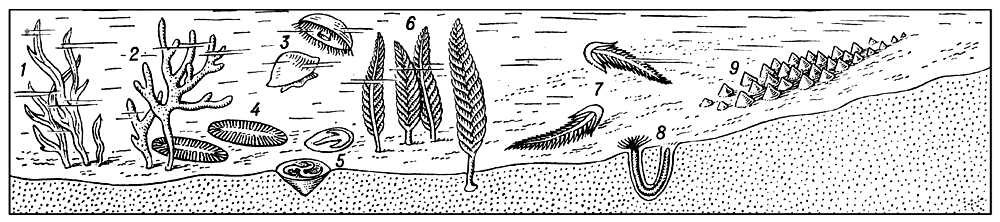   (,  ): 1  ; 2  ; 3, 6  : 3  , 6   ; 4, 8   ; 5   (  ); 7   (  ); 9       .