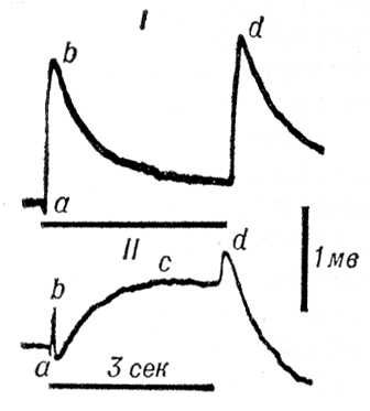 . 2.  ()   (I)   (II).         .        (3 <i></i>).  -  1 <i></i>. .