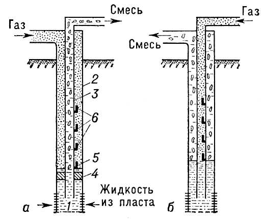 . 1.    ():   ;   ; 1   ; 2   ; 3   ; 4    (); 5    ; 6   .