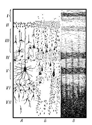 . 1.      : I   , II    , III   , IV    , V   , VI    , VII    .    ,   ,    .