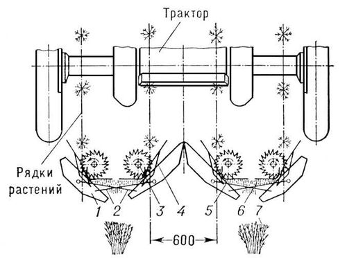   : 1  ; 2   ; 3   ; 4  ; 5   ; 6    ; 7  .