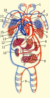   : 1     , 2   , 3  , 4   , 5   , 6  , 7  , 8  , 9   , 10  , 11  , 12    , 13    , 14    , 15   , 16   , 17   , 18    .