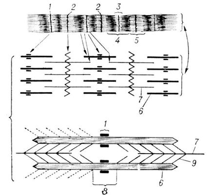      ().     ;     ; 1   ; 2   Z; 3   ; 4   ; 5   I; 6   ; 7   ; 8   ; 9  . .