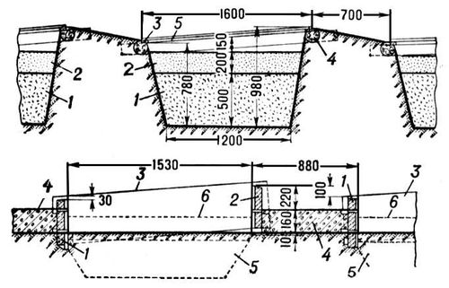     (  <i></i>),        : 1  ; 2    ; 3   ; 4   ; 5   ;        : 1   ; 2   ; 3   ,   ; 4  ,   ; 5    ; 6    . .