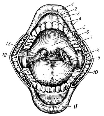   : 1   ; 2   ; 3  ; 4  ; 5   ; 6   ; 7  ; 8  - ; 9   ; 10  ; 11   ; 12  - ; 13  .