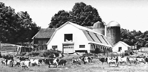 �������� ����� � ����� ���-�������. ����������� ����� �������.