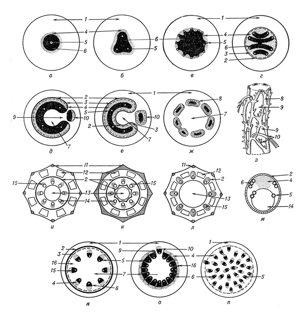    : 2  ; ,   ;   ;     ();     ();   ;       ; , ,    (     ,  ;       ,   ;        ,  );        ;      ;     ;     ; 1   ; 2  ; 3  ; 4  ; 5  ; 6  ; 7  ; 8  ; 9   ; 10   ; 11   ; 12    ; 13    ; 14   ; 15   ; 16   .  .