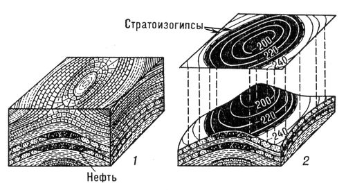 1  -     ; 2    ()  - ()            ;       <i></i>.  .