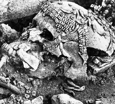 Сунгирьская стоянка. Череп одного из погребённых. Сохранились бусы из бивней мамонта и просверлённые клыки песцов, украшавшие шапку. Сунгирьская стоянка.