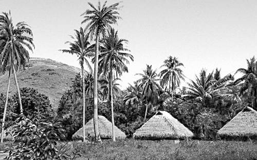 Деревня на острове Таити. Таити.