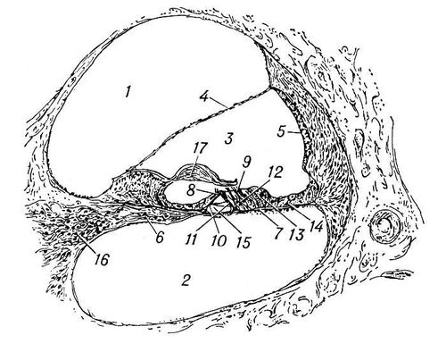      (): 1   ; 2   ; 3   ; 4   ; 5   ; 6   ; 7   ; 8    9    ; 10    11    ; 12   ; 13   ; 14   ; 15  ; 16   ; 17   . .