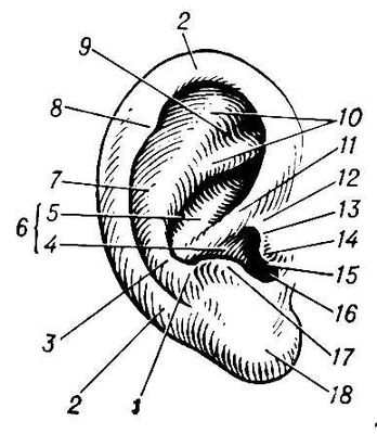  : 1    ; 2  ; 3  ; 4   ; 5   ; 6   ; 7   ; 8   ; 9   ; 10  ; 1   ; 11   ; 12    ; 13   ; 14  ; 15    ; 16   ; 17  ; 18   ,   .  .