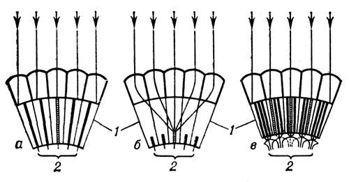 . 2.       (),  ()   ()  : 1         ,  ; 2    .    ,        ( ).