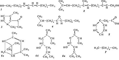    : 1      ; 2     ; 3       Danaidae; 4     ; 5      ( ); 6 (, , )  3    -   Ips; 7       Lasius.