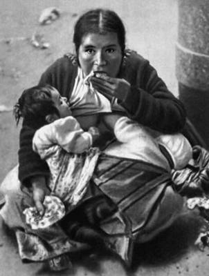 .   20 . .  (). -. . 1955. .