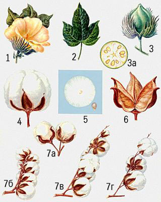 : 1  ; 2  ; 3    (3   ); 4   ; 5    ; 6   ; 7   : 7  , 7     , 7      , 7     . .