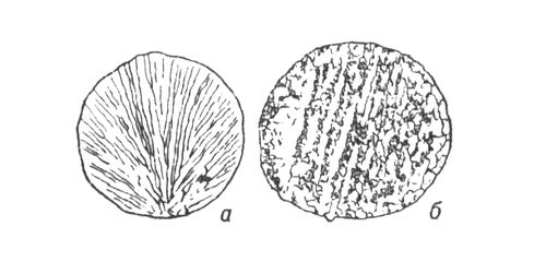    (  40 );   - ;    . .