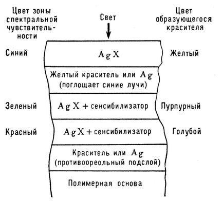 . 1.      (, ); AgX   .