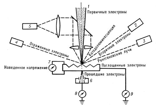 . 5.     ,   . 1    ; 2    ; 3    ; 4    ; 5    ; 6    ; 7         ; 8         ; 9         .